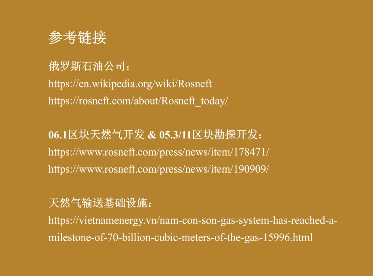 俄罗斯石油产业地图-越南(图片2)